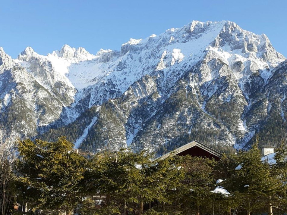Gartenblick zum winterlichen Karwendel