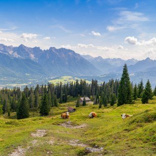 Blick von der Wallgauer Alm auf Karwendel und Arnspitzen, © Alpenwelt Karwendel | Rosmarie Karg