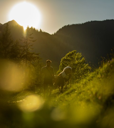 Traditionelle Landwirtschaft und Veihhaltung rund um Mittenwald, Krün und Wallgau. Wo Natur von Herzen kommt., © Alpenwelt Karwendel | Philipp Gülland