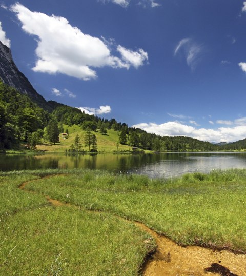 Ferchensee - glasklarer Badesee in Mittenwald, © Alpenwelt Karwendel | Rudolf Pohmann