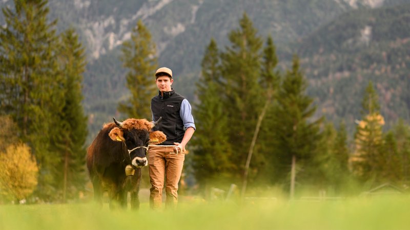 Flori Breith und der Ochs , © karlmeise | Philipp Gülland