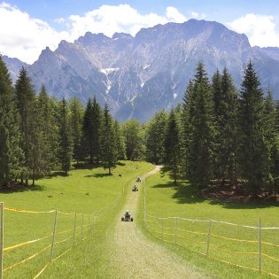 Die Abfahrtspiste der Mittenwalder Mountaincarts führt über Almwiesen am Kranzberg mit Blick auf den Karwendel, © Alpenwelt Karwendel | KEW - Rudolf Pohmann