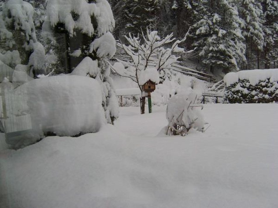 Winterbild vom Garten