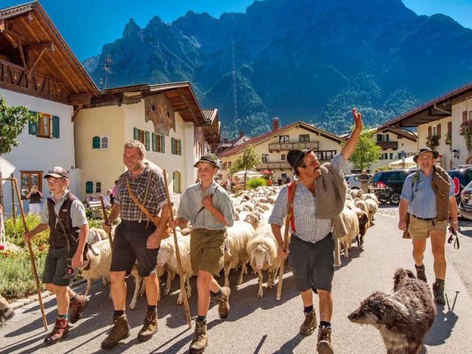 Schafabtrieb durch das Ortszentrum, © Alpenwelt Karwendel | Martin Kriner