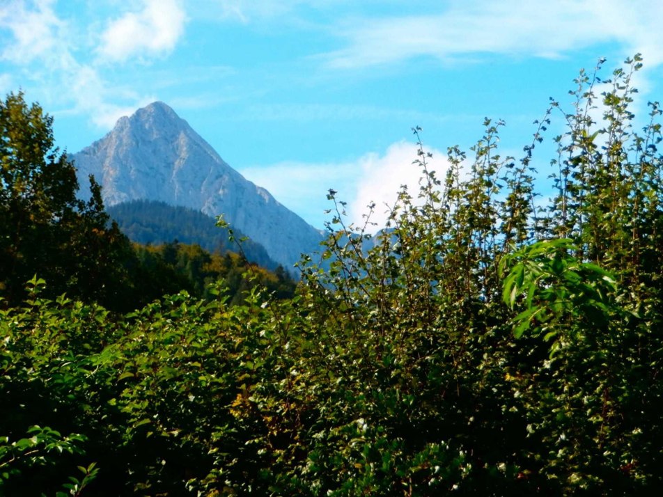 Blick von Ihrer Wohnung auf den Wettersteingipfel, © Gabriele Knilling