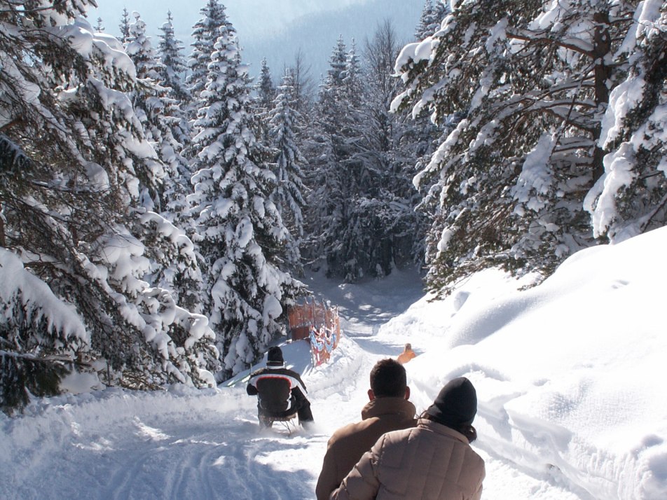 Rodeln vom Kranzberg, © Alpenwelt Karwendel | Rudolf Pohmann