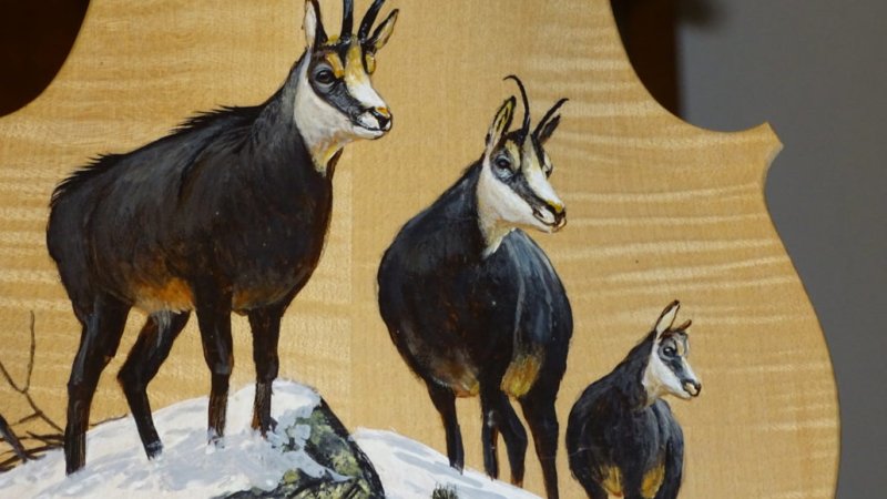 Eine der zahlreichen Auszeichnungen für die Gamsbärte von Hans Schober, © Alpenwelt Karwendel | Andrea Schmölzer Eine der zahlreichen Auszeichnungen für die Gamsbärte von Hans Schober, © Alpenwelt Karwendel | Andrea Schmölzer