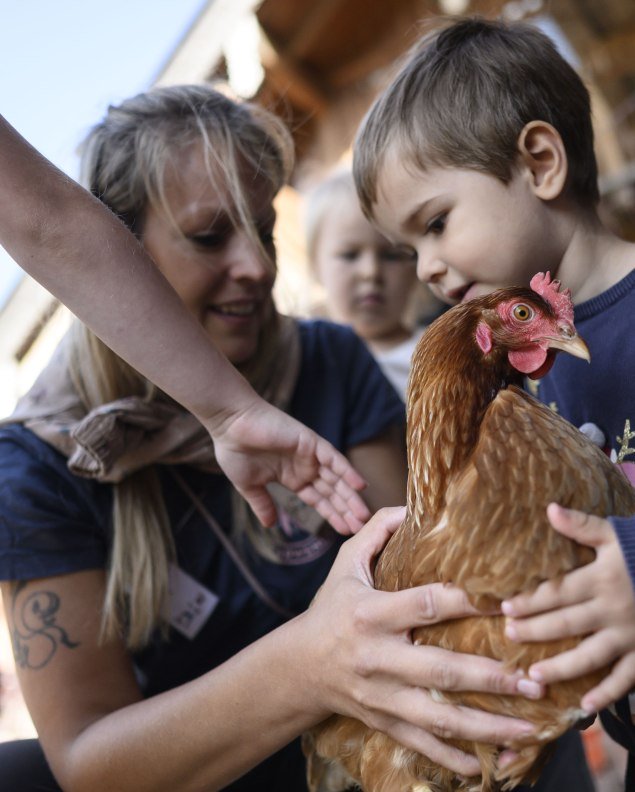 Tierische Erlebnisse beim Kinderprogramm der Alpenwelt Karwendel, © Alpenwelt Karwendel | Philipp Gülland