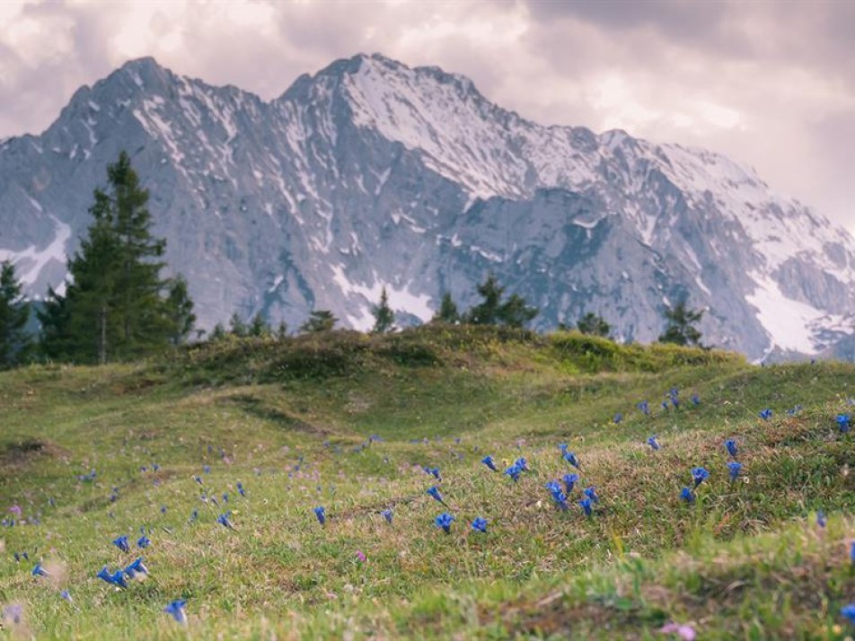 Unterwegs am Kranzberg