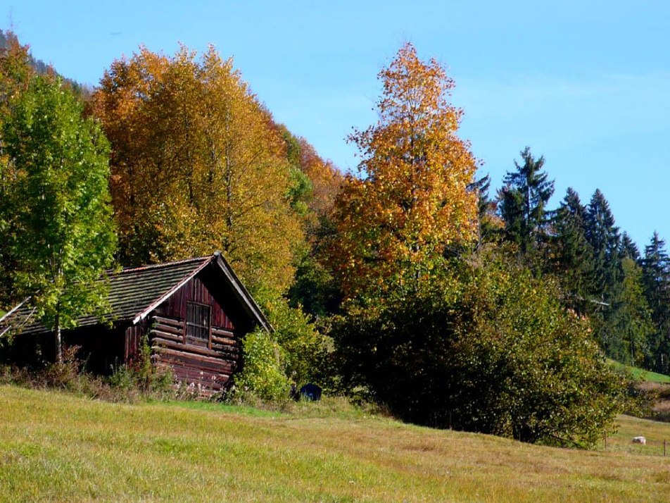 Herbststimmung