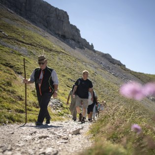 Kurz, gepflet, nur leicht steil - aber sehr aussichtsreich: Der Passamani Rundweg auf dem Karwendel, © Alpenwelt Karwendel | Philipp Gülland