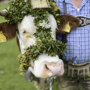 Farmers´Weeks in the Alpenwelt Karwendel, © Alpenwelt Karwendel | Zugspitz Region GmbH