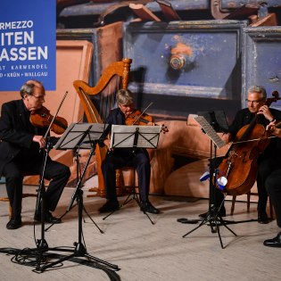 Auryn Quartett, © Philipp Güland