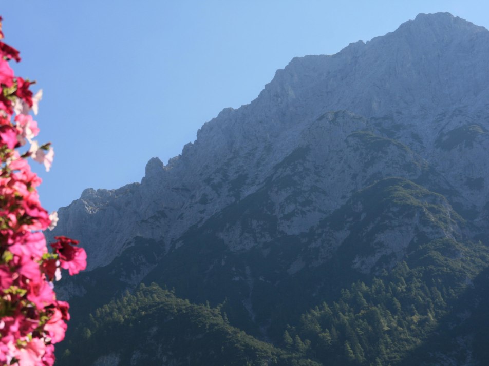 Bergblick