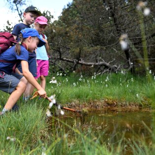 Kinderprogramn "Zauberhafter Buchenwald", © Alpenwelt Karwendel | Angelika Warmuth