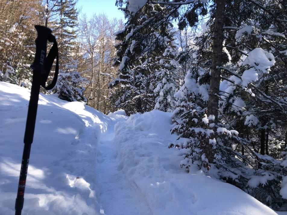 Mit den Schneeschuhen unterwegs