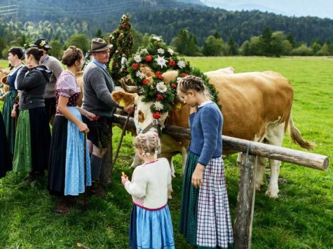 Krüner Almabtrieb mit Dorffest u. Bauernmarkt, © Alpenwelt Karwendel | Zugspitz Region GmbH
