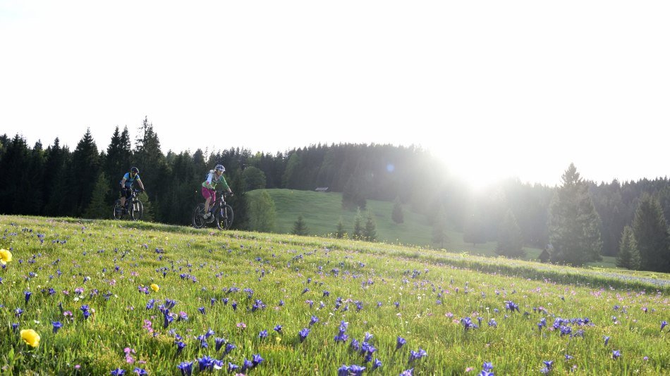 Biken im Frühling, © Alpenwelt Karwendel | Stefan Eisend