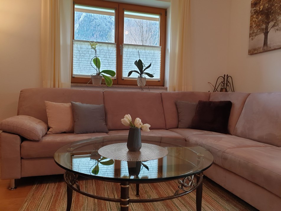 Living room with comfortable couch