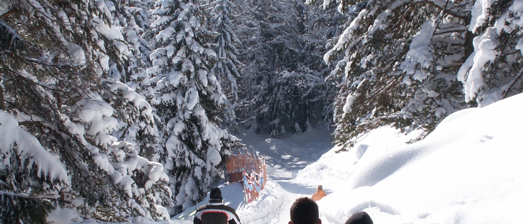 Rodeln vom Kranzberg, © Alpenwelt Karwendel | Rudolf Pohmann