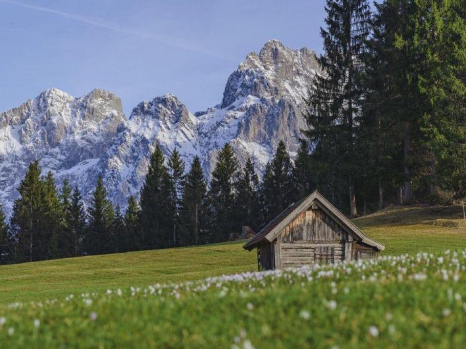 Frühlingsrundgang über die Buckelwiesen, © Alpenwelt Karwendel / Paul Wolf Frühlingsrundgang über die Buckelwiesen, © Alpenwelt Karwendel / Paul Wolf