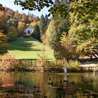 Der Krausegarten, auch Kurpark am Burgberg genannt, ist einer von zwei Kurparkanlagen in Mittenwald, © Alpenwelt Karwendel | Rudolf Pohmann