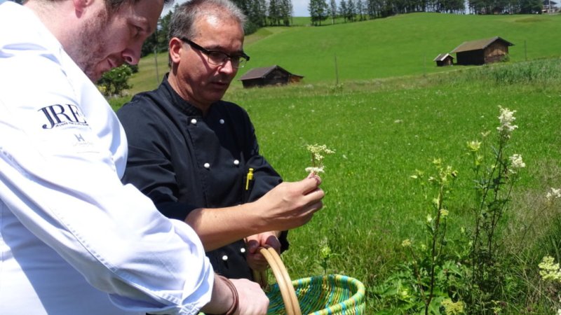 Gefunden!  Mädesüß - mandelsüß duftendes Kraut, © Alpenwelt Karwendel | Andrea Schmölzer