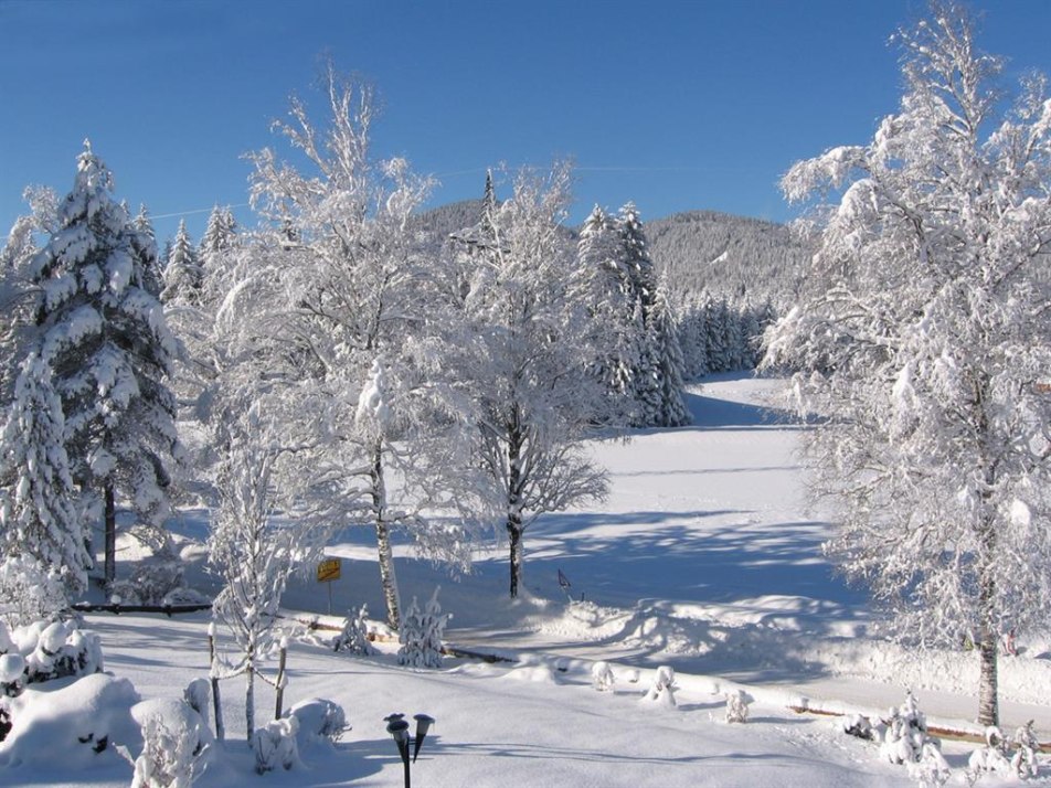 Traum Ausblick_Winter von_der_Fewo