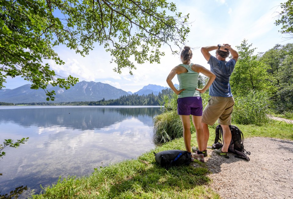 Varied views on a hike around the Barmsee near Krün, © Alpenwelt Karwendel | Gregor Lengler