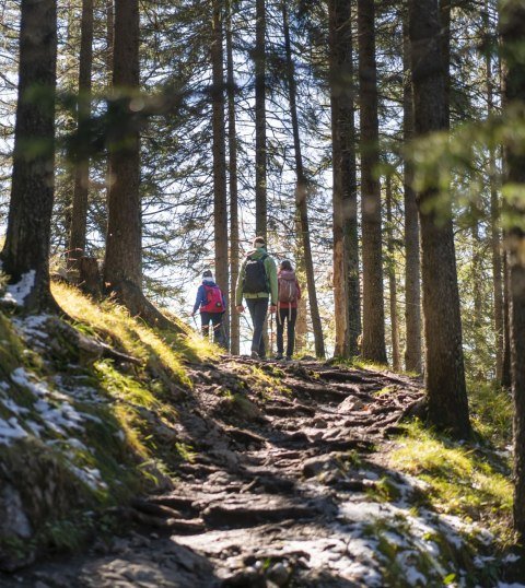Whether forest trail, summit ridge or flat paths - in the Alpenwelt Karwendel there is something for every nature fan!, © Alpenwelt Karwendel | Dietmar Denger