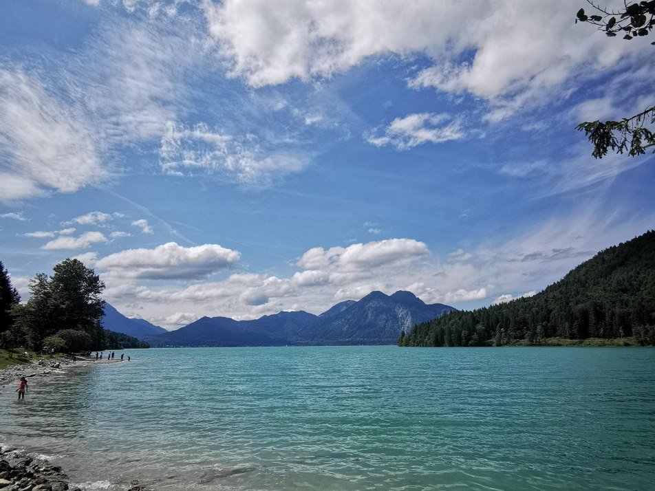 IMG_20210809_144055 IMG_20210809_144055