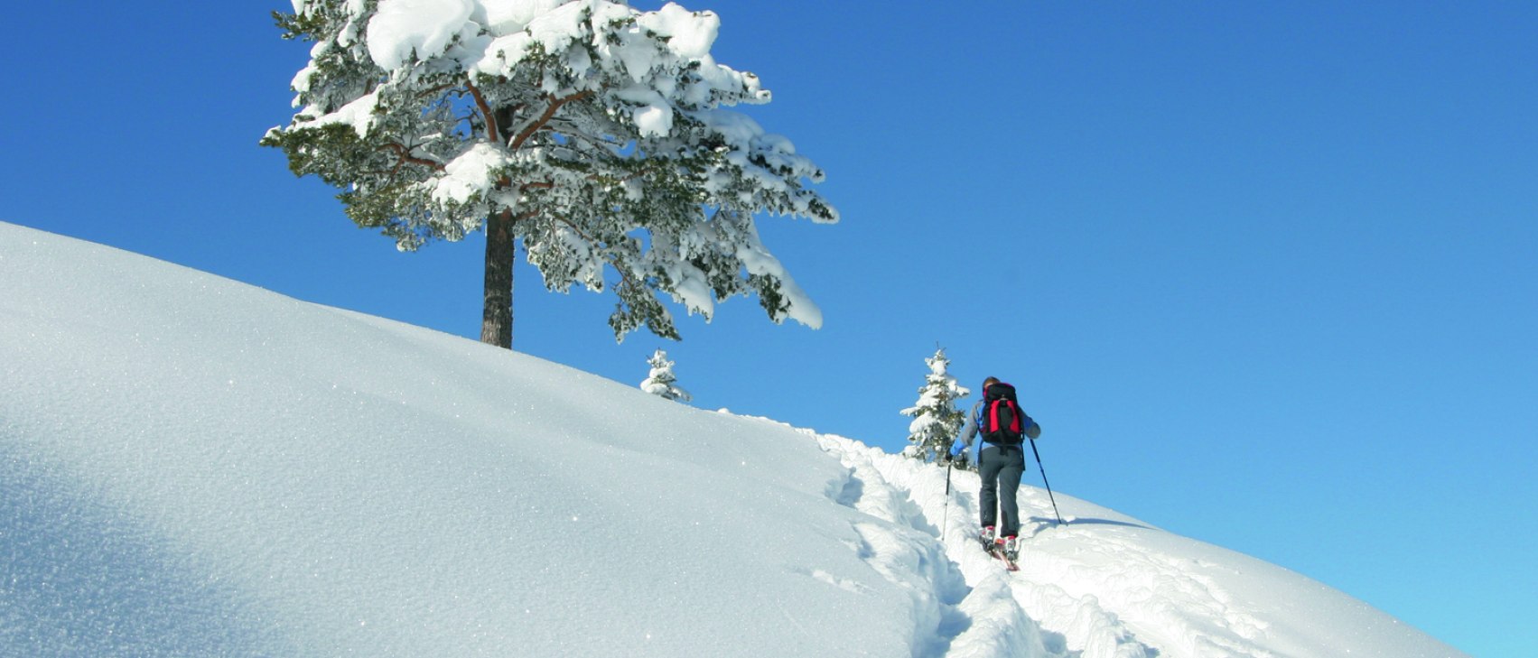 Skitour, © Alpenwelt Karwendel | Bergschule Alpenwelt Karwendel