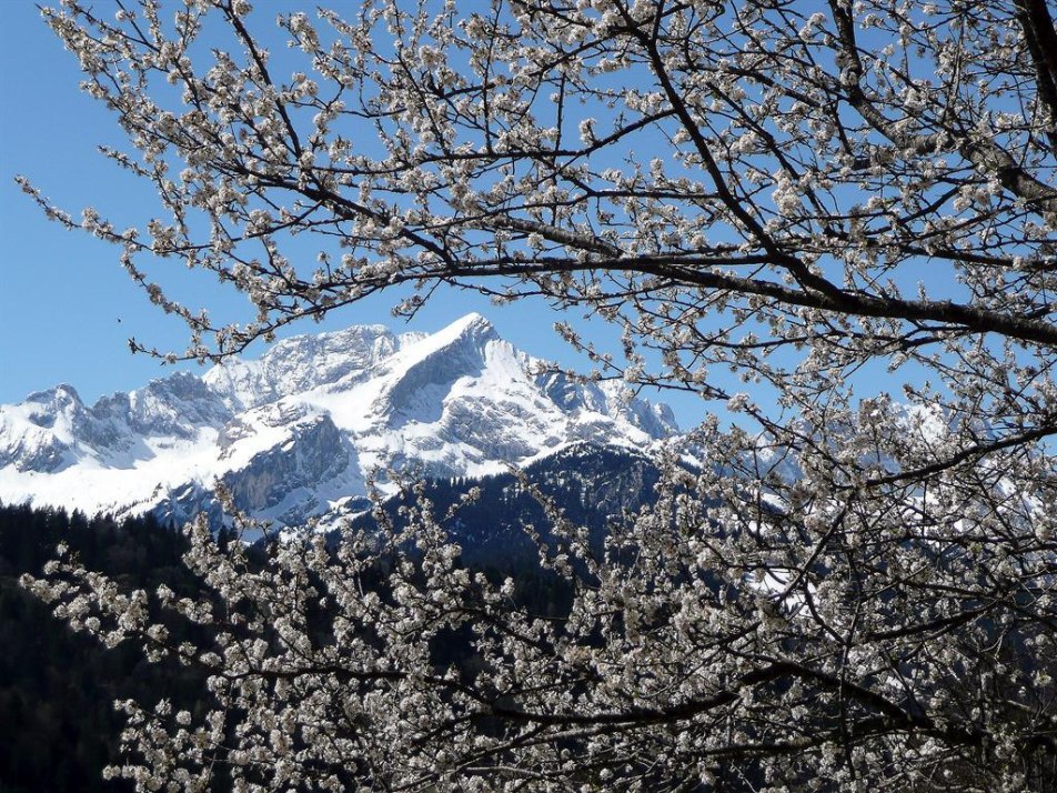 Frühling Blick zur Alpspitze