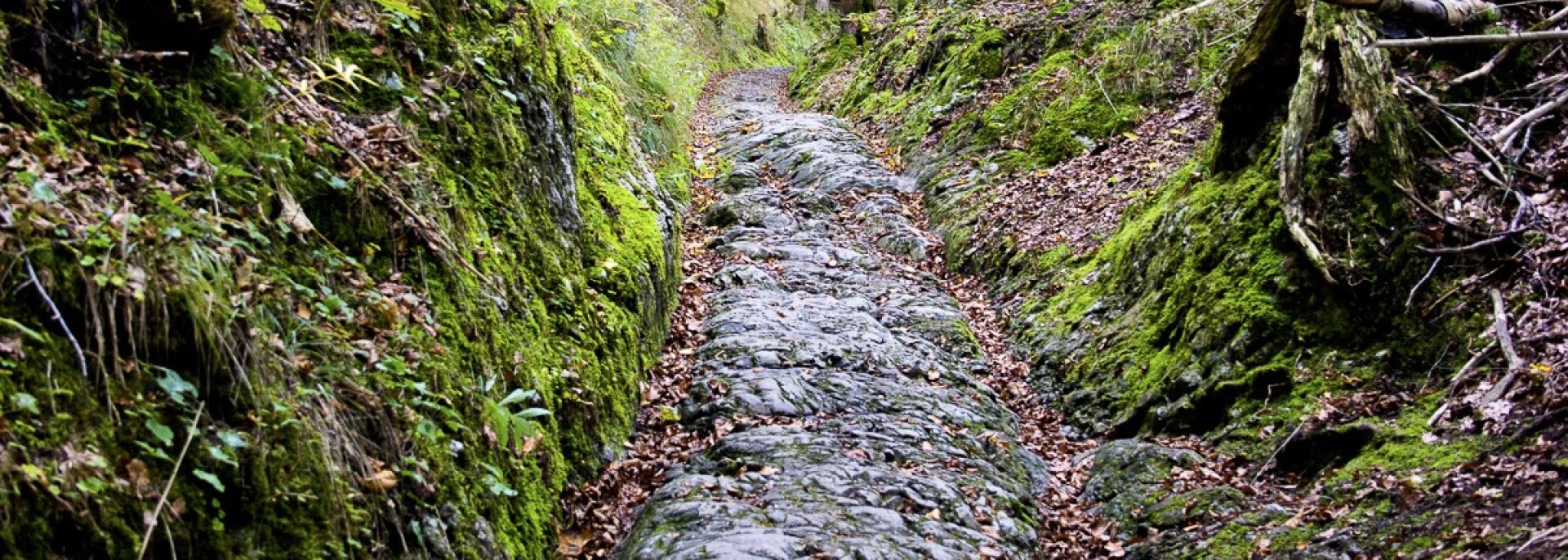 Römerweg in Klais, © Alpenwelt Karwendel | Wilfried Gans 