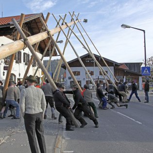 In Krün wird traditionell der größte Maibaum im oberen Isartal aufgestellt, © Alpenwelt Karwendel | Christoph Schober