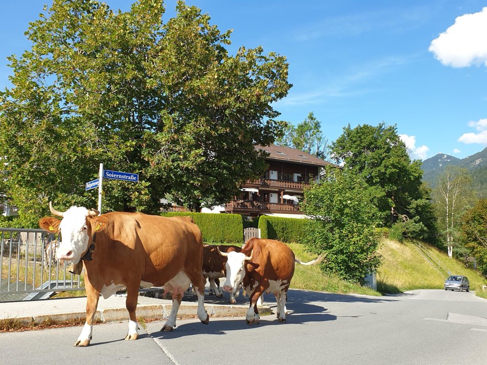 Haus Abendsonne Krün