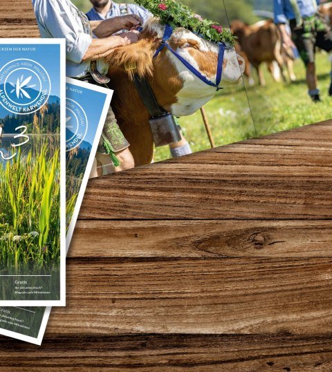 Cover Hoch³ Magazin 2026, © karlmeise