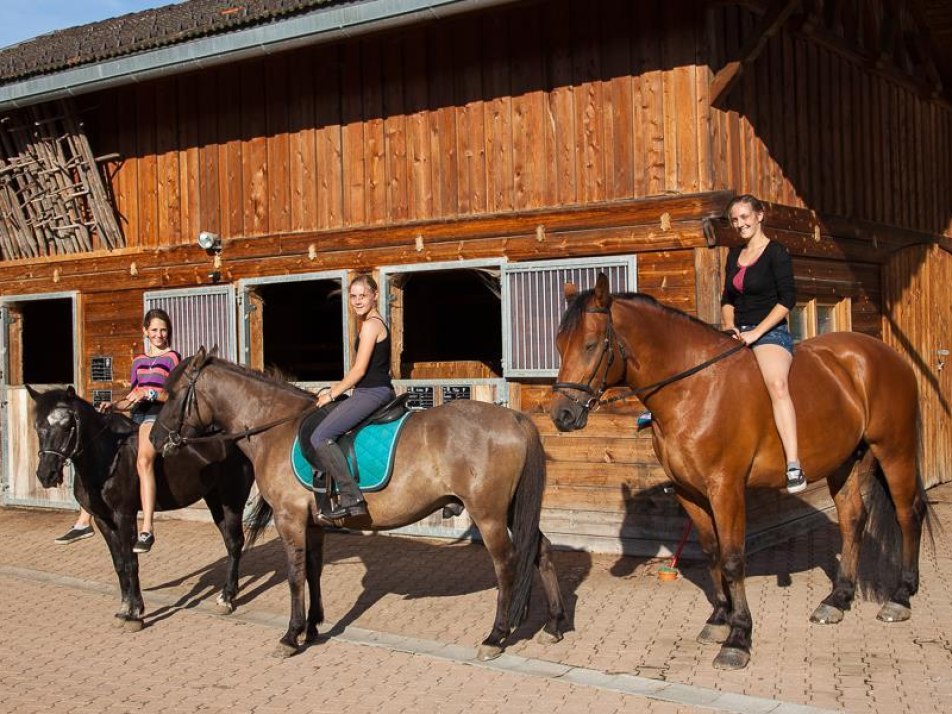 Reiten - Unser Stall, © Hornsteiner