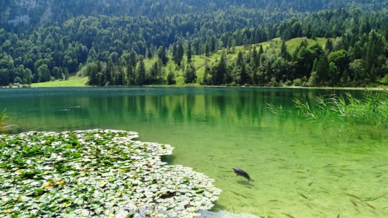 Der Ferchensee bei Mittenwald, © Alpenwelt Karwendel | Andrea Schmölzer