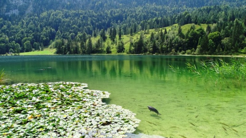Der Ferchensee bei Mittenwald, © Alpenwelt Karwendel | Andrea Schmölzer Der Ferchensee bei Mittenwald, © Alpenwelt Karwendel | Andrea Schmölzer