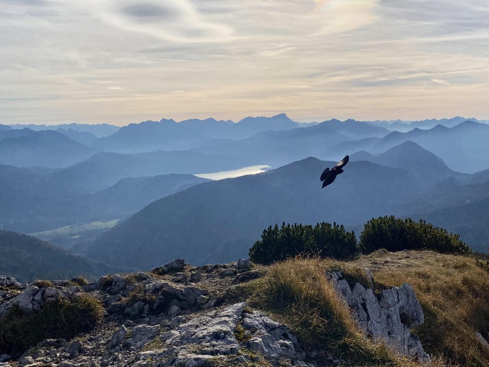 Bergfernsicht, © Schober