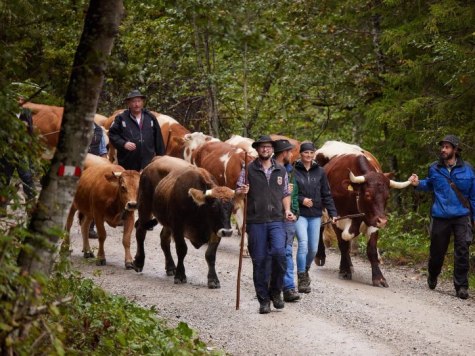Almfest mit kleinem traditionellem Almabtrieb, © Alpenwelt Karwendel | Lukas Barth-Tuttas