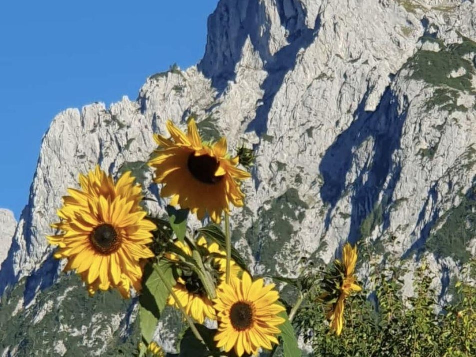 Blick von unserem Garten Richtung Viererspitze