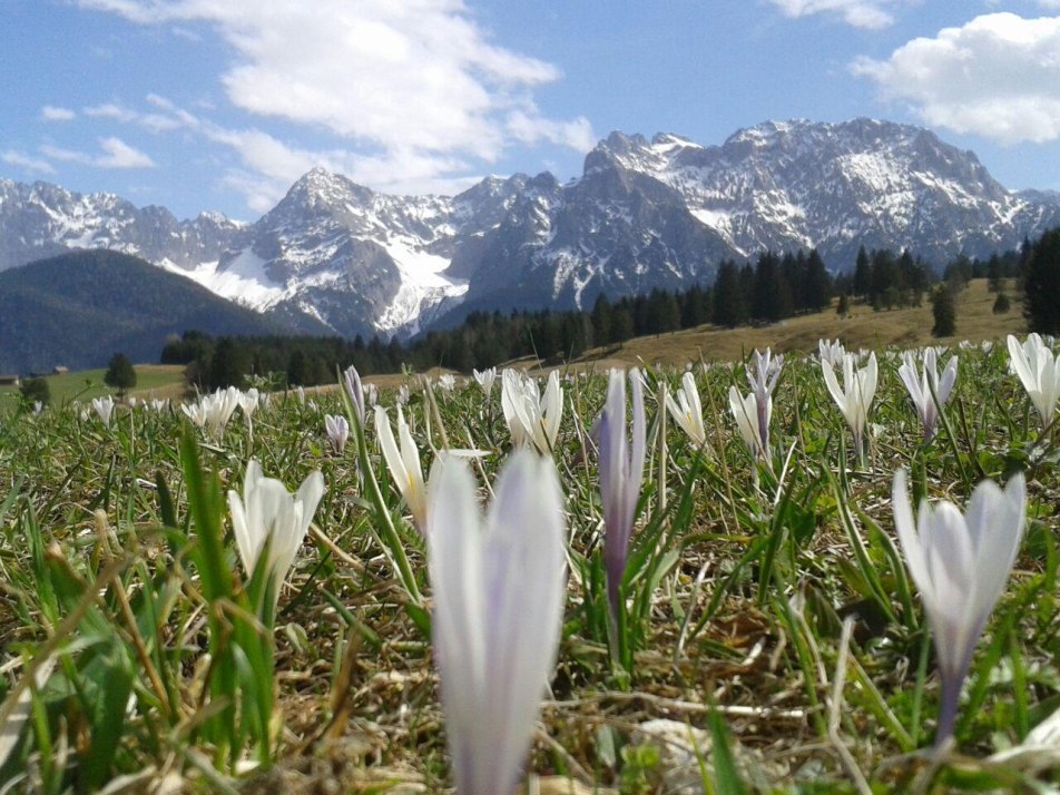 Frühling vorm Haus