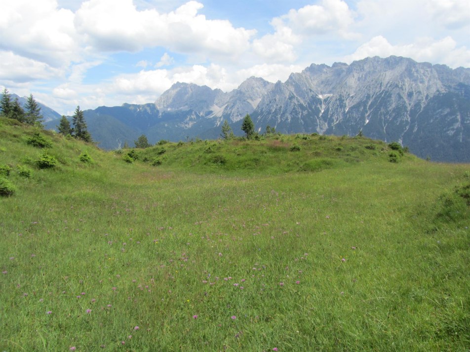 Wanderung am Kranzberg Sommer