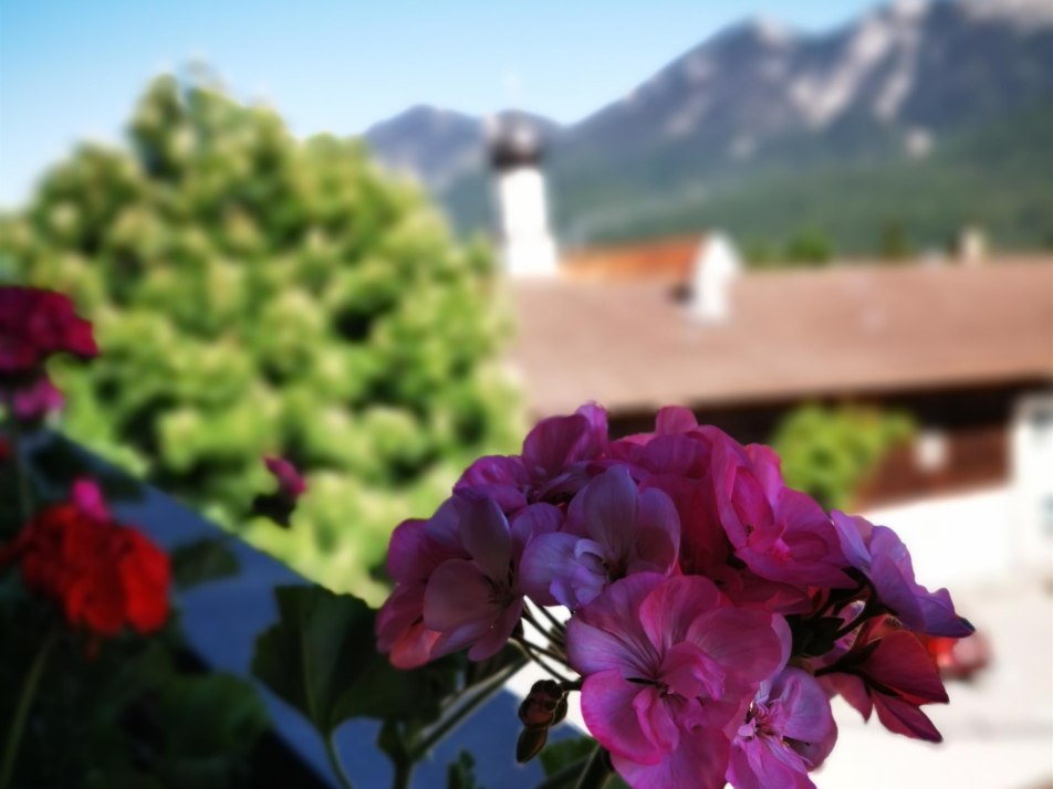 Blick vom Balkon im 2. Stock