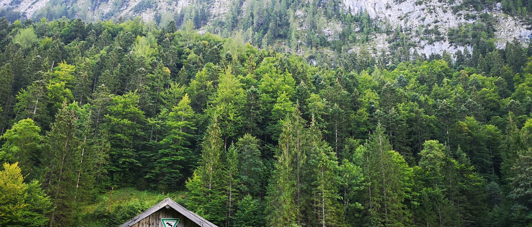 Kulisse am Ferchensee, © Alpenwelt Karwendel | Andreas Karner