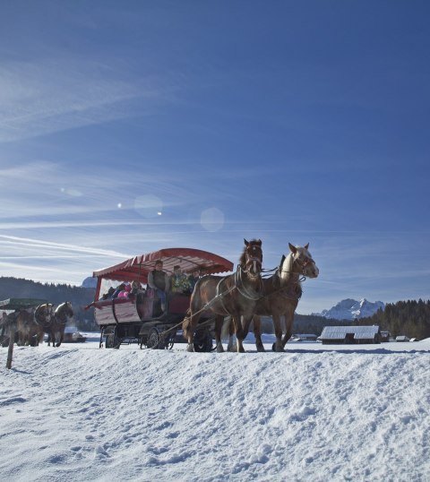 Mit dem Pferdeschlitten über die Buckelwiesen von Mittenwald nach Krün, © Alpenwelt Karwendel | Hubert Hornsteiner