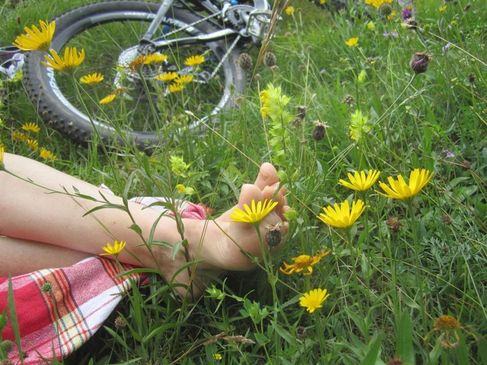 Sommer - Seele baumeln lassen