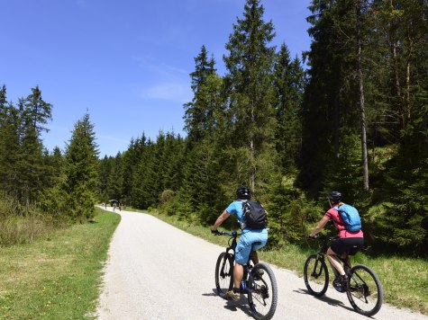 Mountainbiken in der Alpenwelt, © Alpenwelt Karwendel | Stefan Eisend